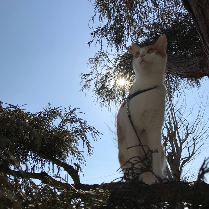 1c50f1aa 828a 47d8 b484 90249d496e1d