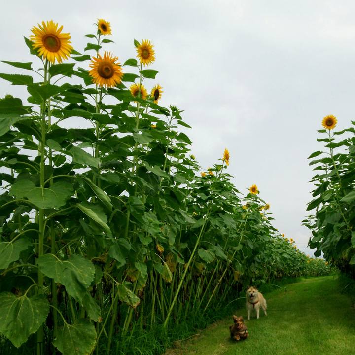 1c50f7e7 ca9d 427f bb1c eabdc5fc44f8