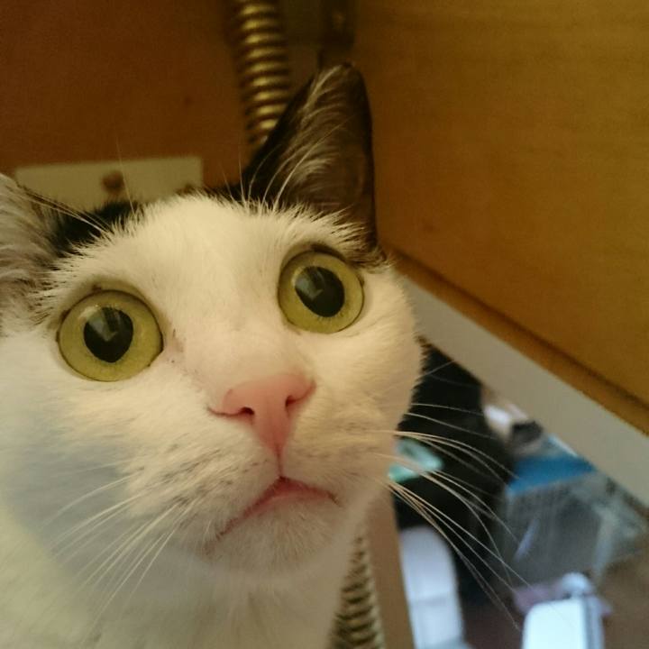 1c512558 fc73 4f94 91b0 5c92ec76e98a