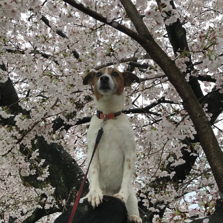 1c51fda7 724c 4282 8ef4 34cb077aa2ca