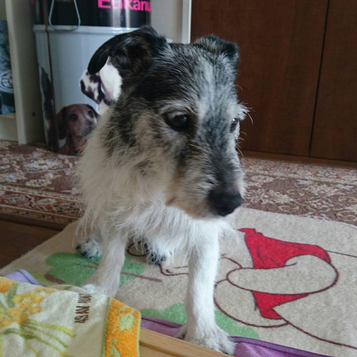 1c526c2d 0b56 4e03 b9bf 0b1ade6c7a58