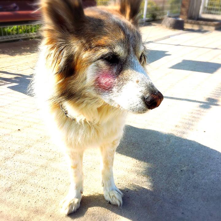 1c52ece0 9bd2 4a8e 80d4 0d782f02fdec