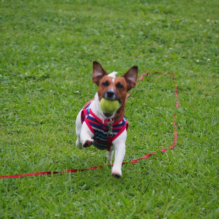 1c535aee 6e5c 4f30 9f7e 1070ba179bab