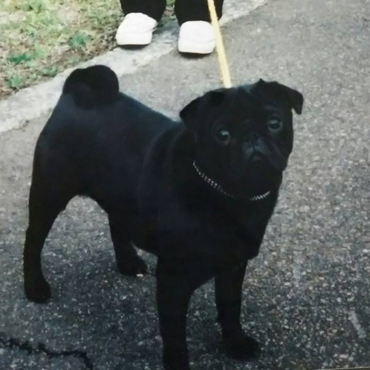 1c54940e bfc9 4f4e 8506 75c4fd97838e