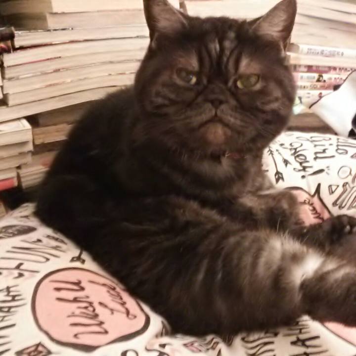 1c5512ef 5af4 471c 976e 80714c1cb629