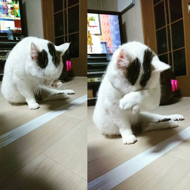 1c552cb3 e1c8 4173 bc1c c6ee1c90bfaf