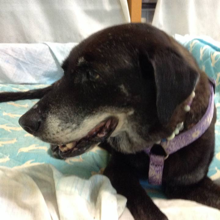 1c55781f 066e 4a2f b2b8 5739093d9183