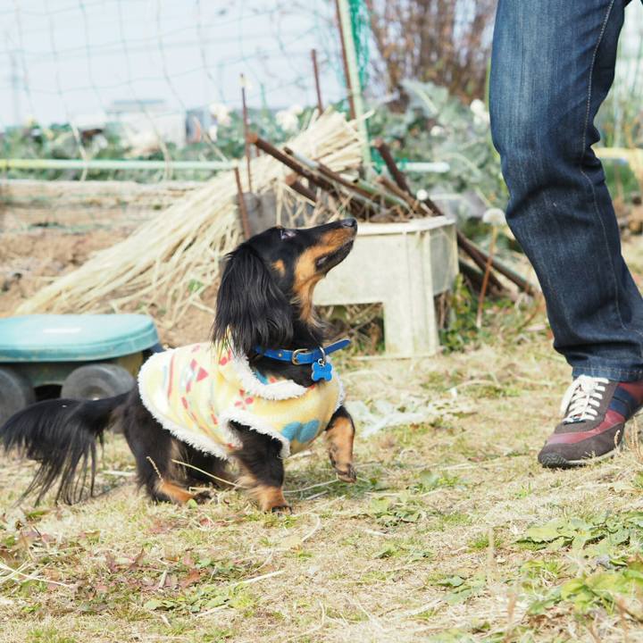 1c55ea6d c480 4468 a4af d98829cea102