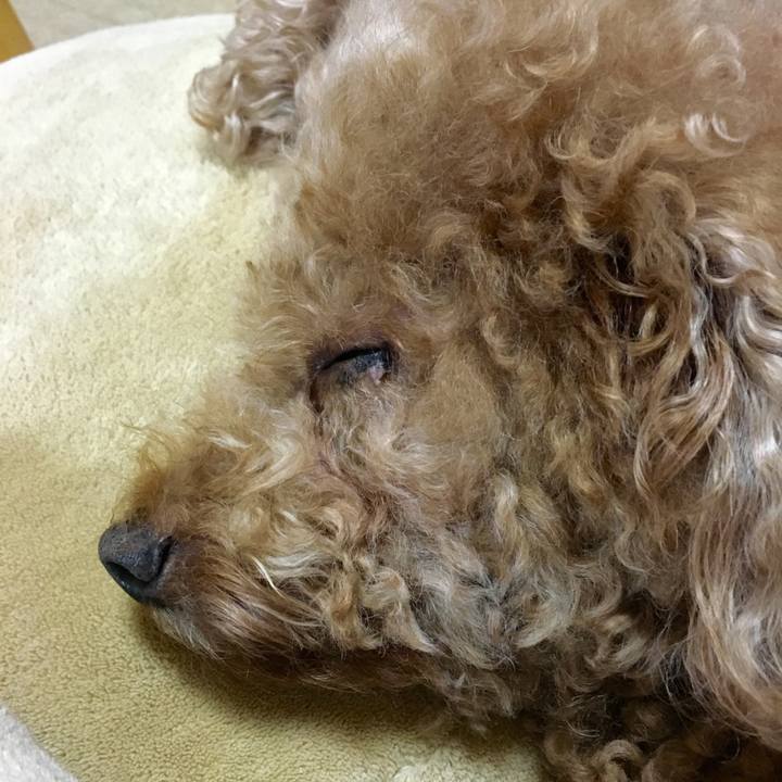 1c561a7e b691 4d05 8229 f89f88ed2572