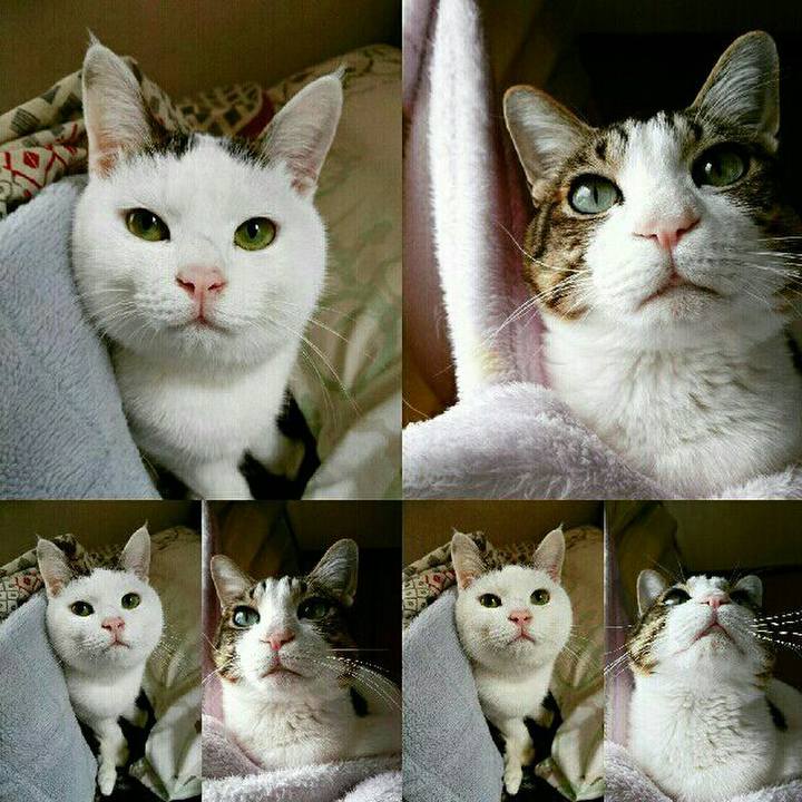 1c561aaa 4cfe 4400 a22c 73cfe9ffec95