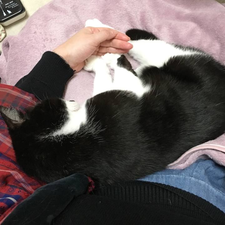 1c568b3d 791f 4d5b 9d0a 6f7e9bc1951b