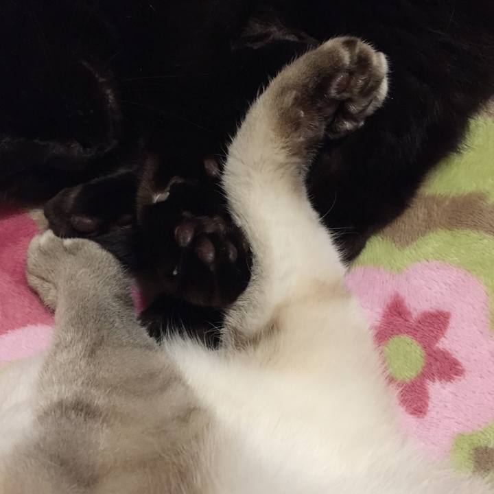 1c56afb5 dd47 41d8 8fa0 468d11ea1ac0