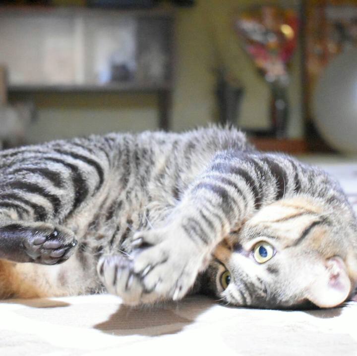 1c56f5d5 f96b 4f3e 8f58 96fa7292293b