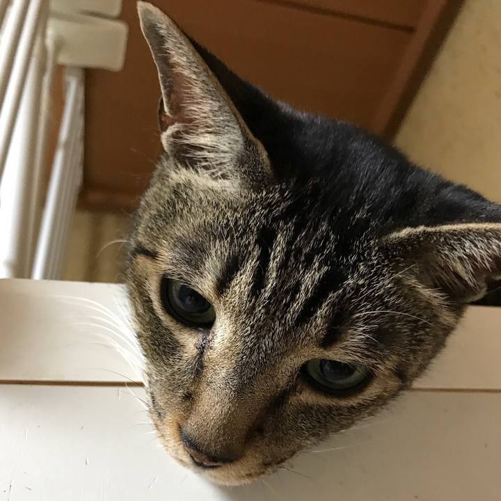 1c57a22b c6f2 47bb aa2b e11ebc840b32