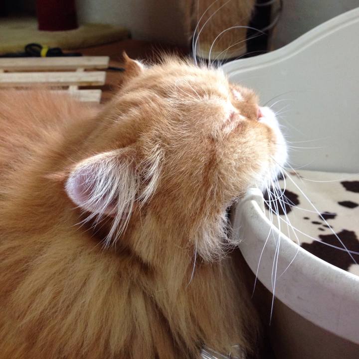 1c57d2e9 4bce 47f5 a661 4baa7e0df1e7