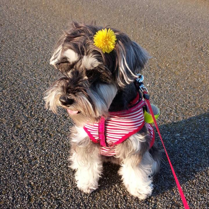 1c57da80 e82d 4dc2 b58d 84f0ab032fdc