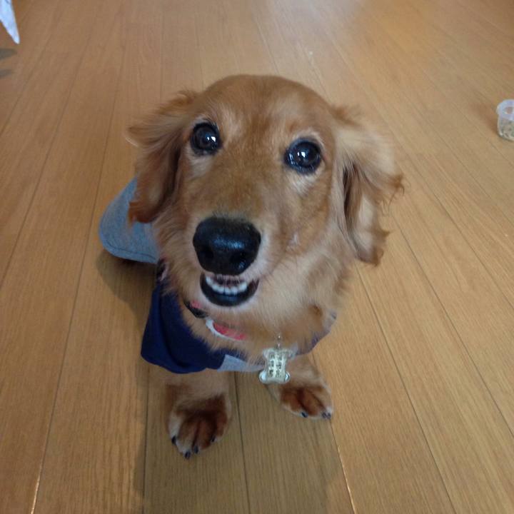 1c57fa2f 9c9f 47d2 9b22 6be086657e21