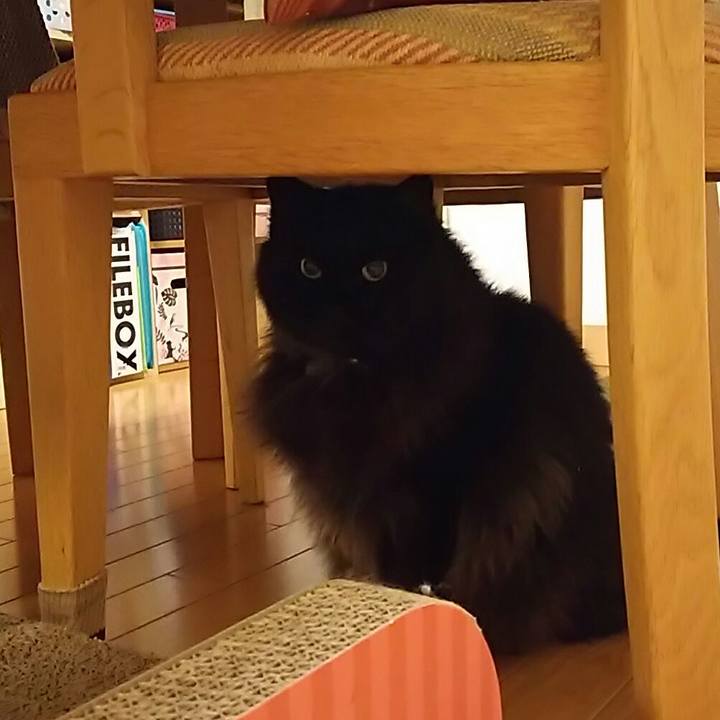 1c57fa4f 7dd2 4da4 8248 4bb899ec8cb9