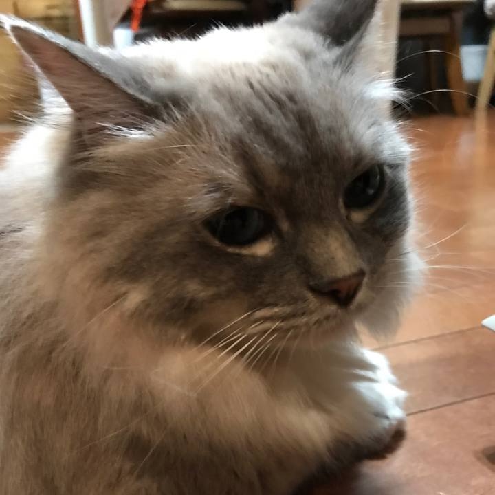 1c581e24 a0f5 4d56 b92d 2027301abac2