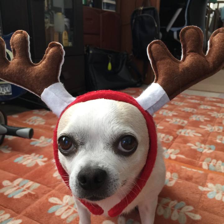 1c588884 3d86 4c29 85dd aecf3faac6ec