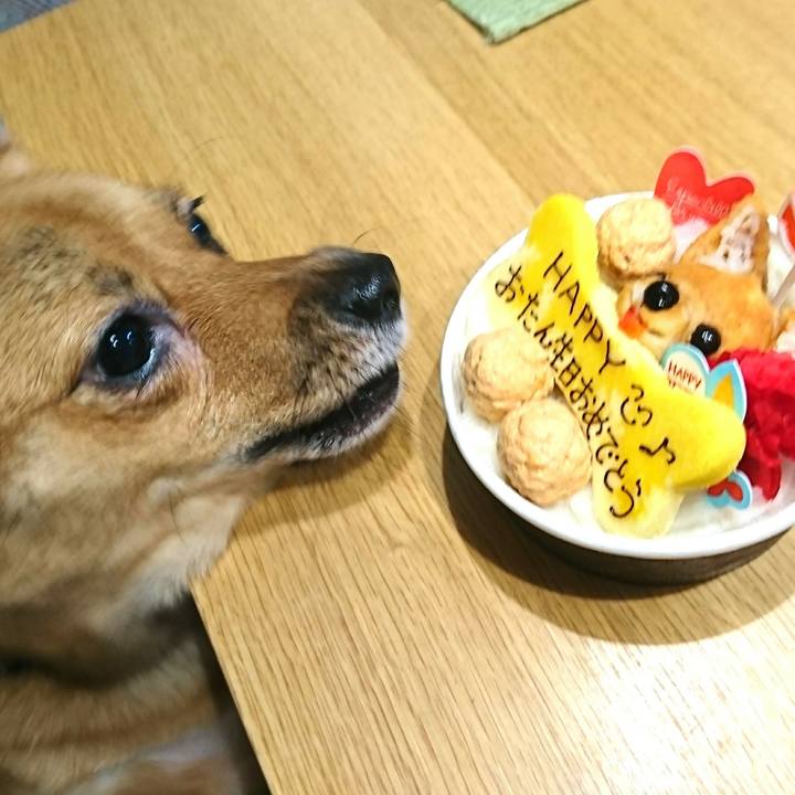 1c596b1f 2520 4a3c 81be f4720b221434