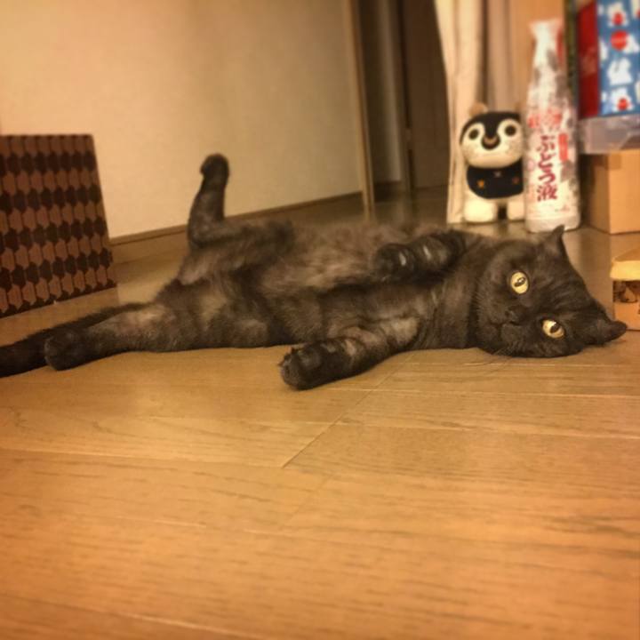 1c59bc26 cc61 4dc4 858f ba617a694b83