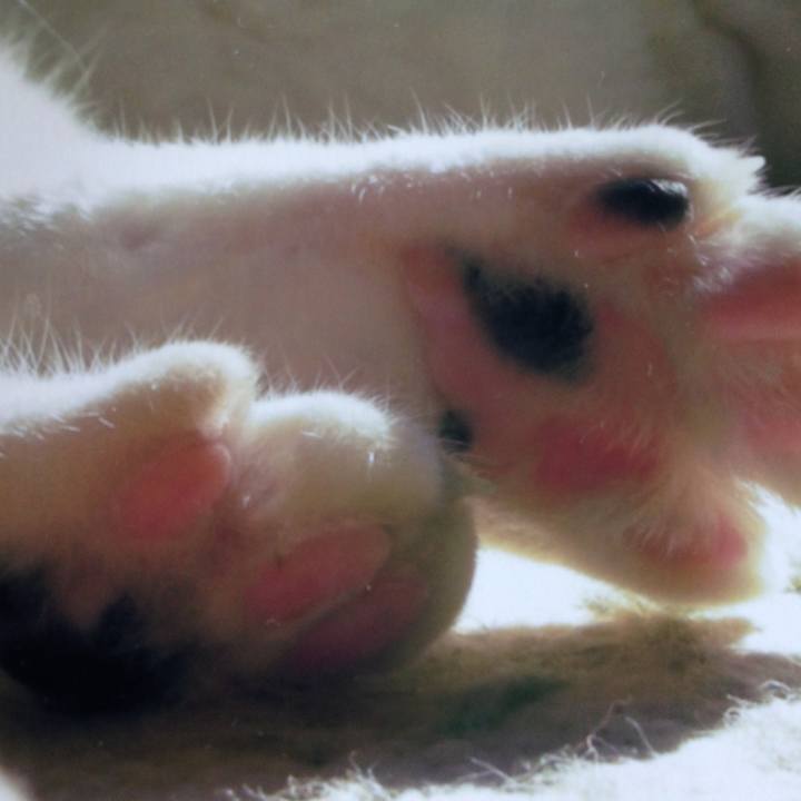 1c5a7610 4f26 46fb b890 9d1266b6fc5a