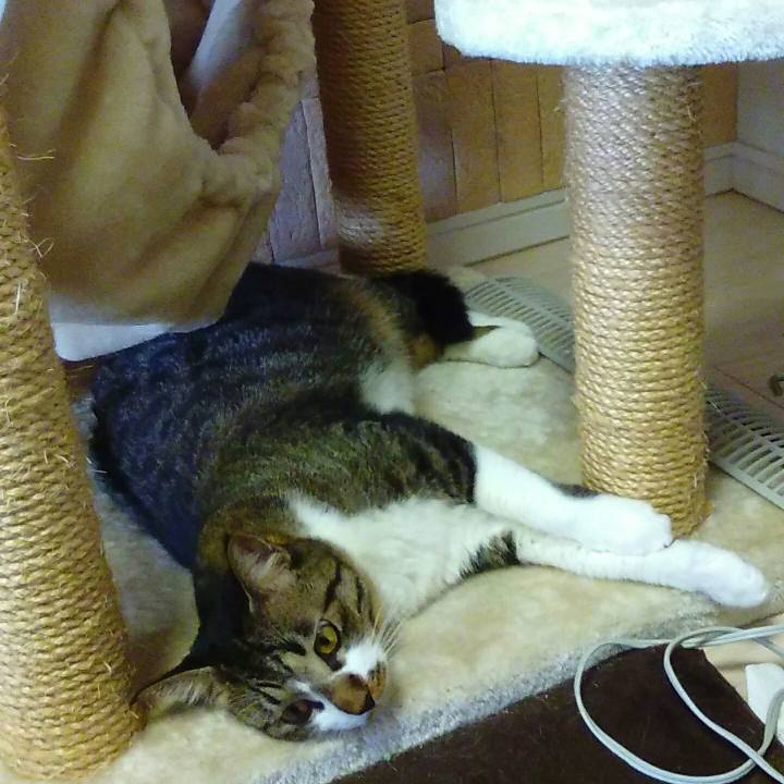 1c5a87a8 ee30 470f a6a1 8e4630f04d51