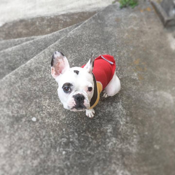 1c5a88a7 3f59 4908 8937 c58931bfb865