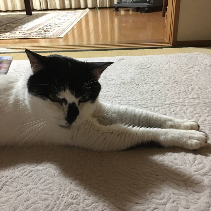 1c5abb93 d236 4b94 adff 960ea33f0c3c