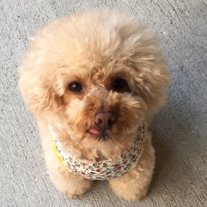 1c5ad9f3 c2cb 4506 bd62 733b22d7a5f6