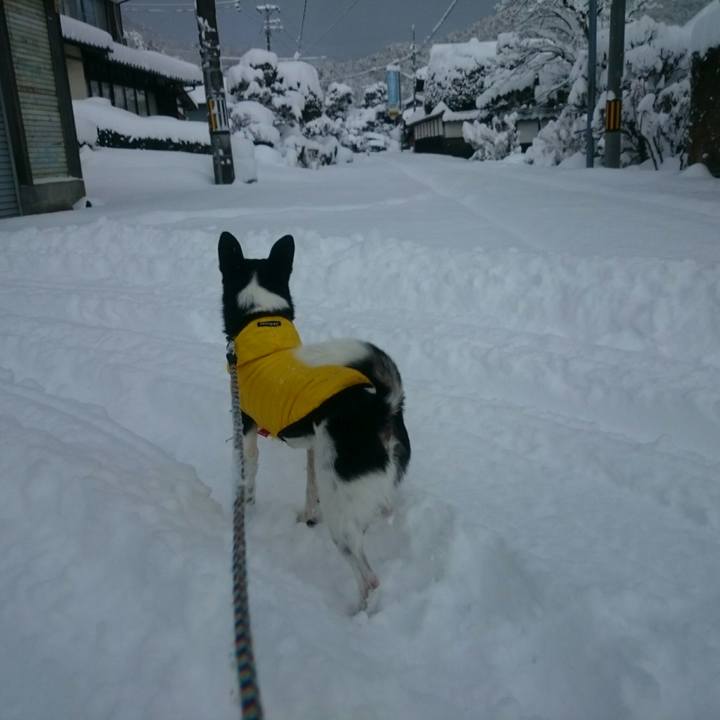 1c5afe86 9eee 4d9f baae 72a149a12705