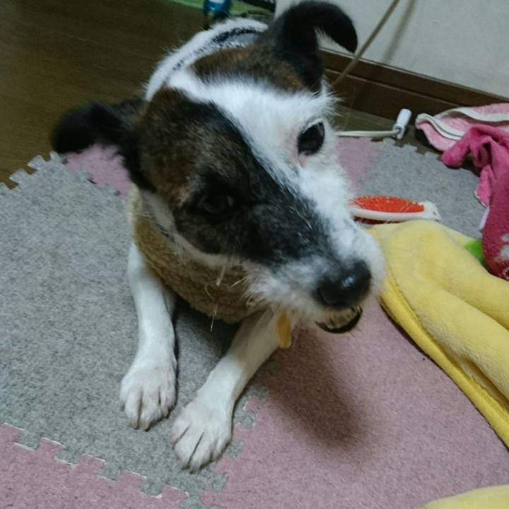 1c5c04d8 1f12 4f2d b40e 13b3e81e2bca