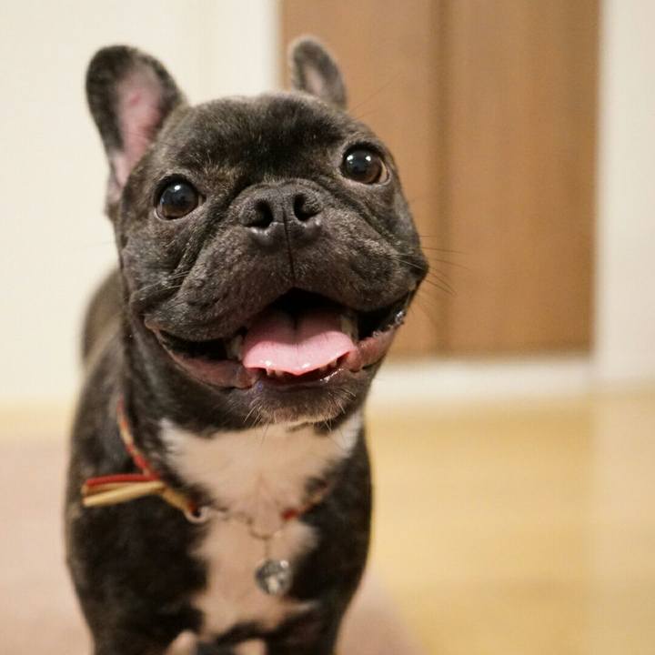 1c5c4350 248e 4ab0 a1e6 22d00e4b82b2