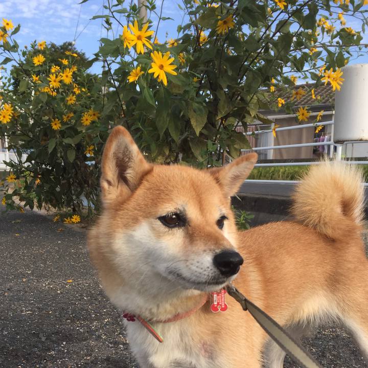 1c5ce790 5854 4cae 9e20 d19a9b6e7519