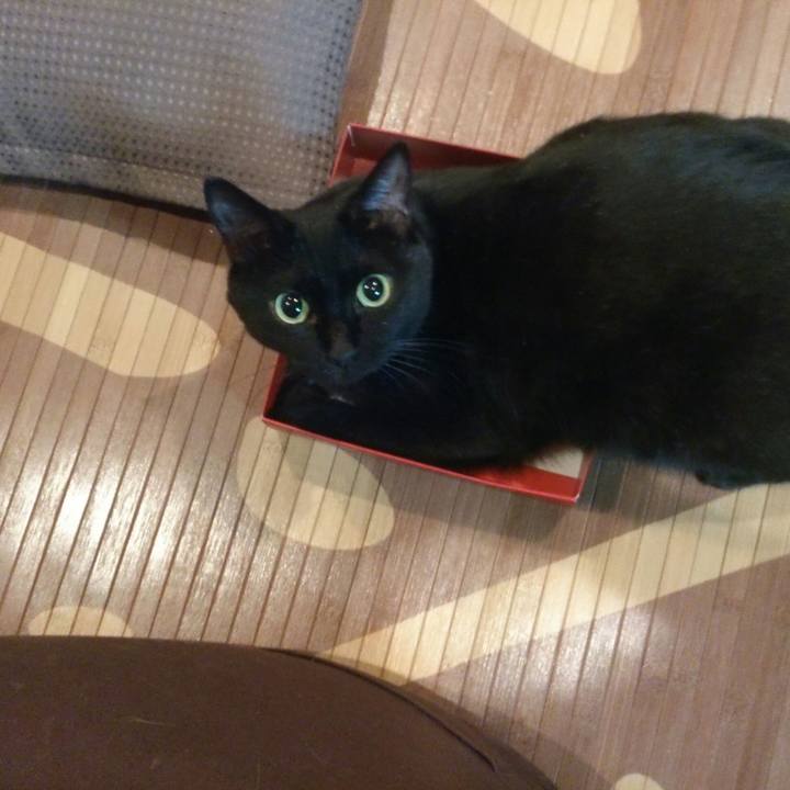 1c5e1522 f779 447a 8cdc ddfb8f1f2805