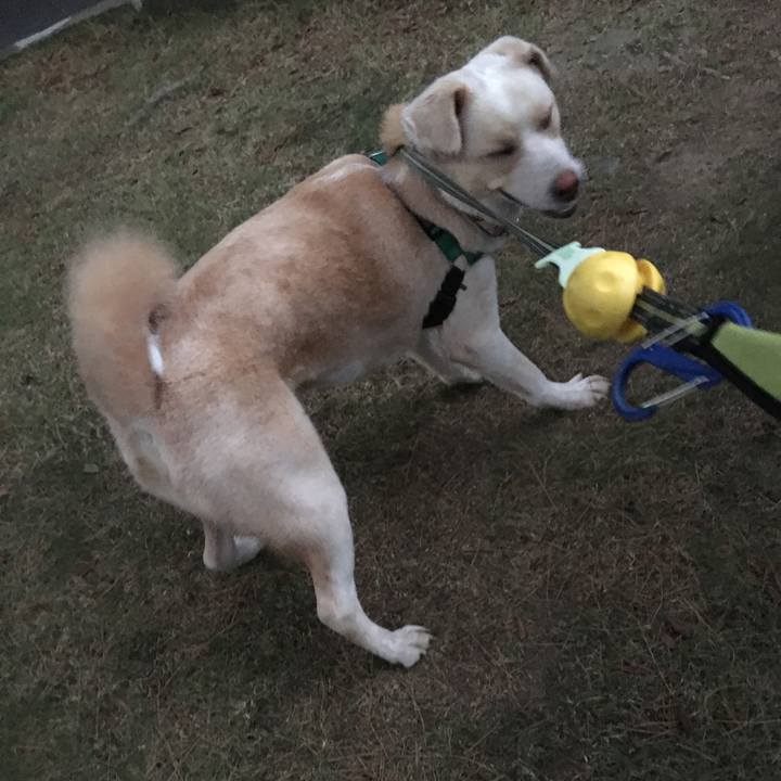 1c5eff88 782e 48b9 ab2a e35aafd9b690