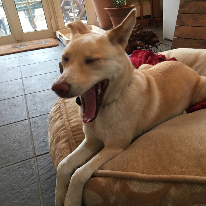 1c5f59f7 e1af 440c 8d8f b51f0dd7f155