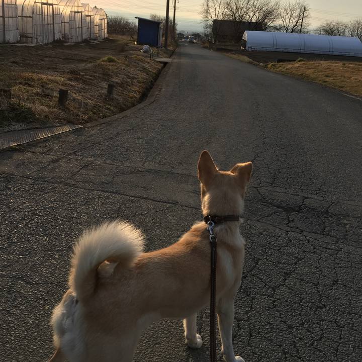 1c5f9817 bfd2 4e33 bbaf a6235c9d30f4