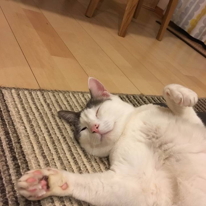 1c5fa5dc f3c7 41c5 ae8a 0ee0e8aae55e