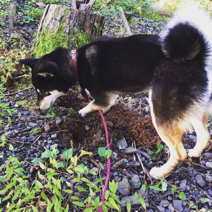 1c5fa6cd d21c 46a5 b77e f91d921b5fd9