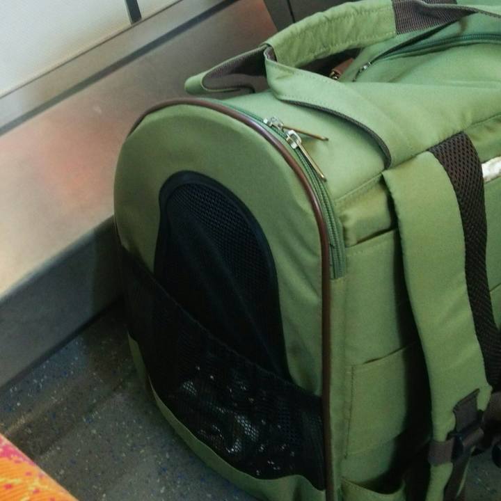 1c5fc7db d4d6 46a3 9a47 fe0841326b92