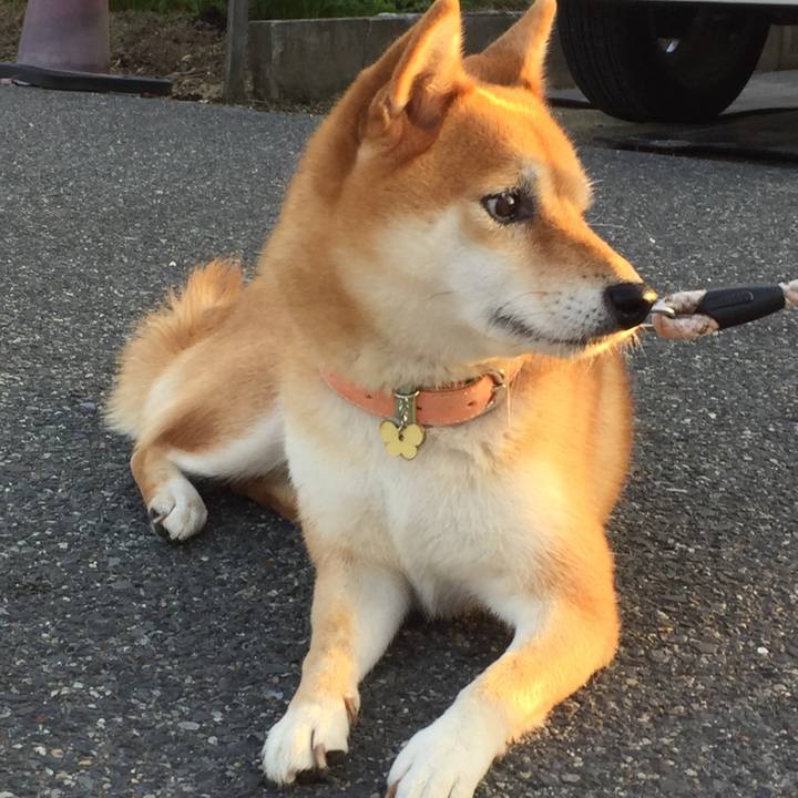 1c5fe645 f5fb 418e b9f7 43bba4516e34