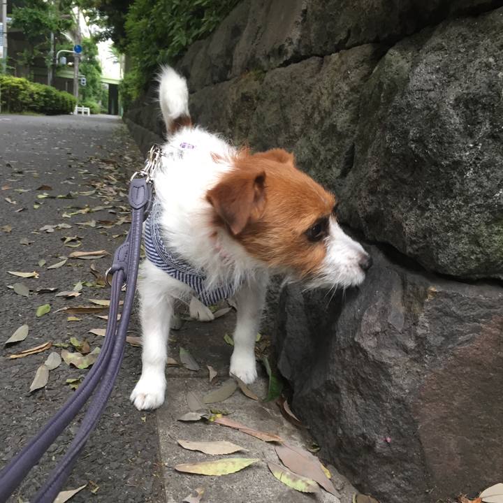 1c5ff270 1e93 42c5 bc86 5f1c46603dc4