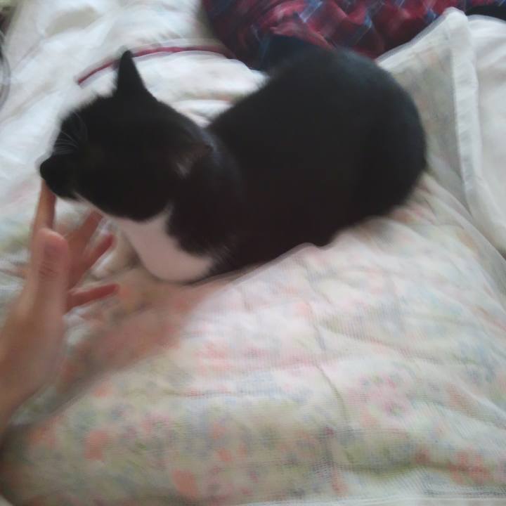 1c600e75 f50a 4679 9e15 43ddd4e14639