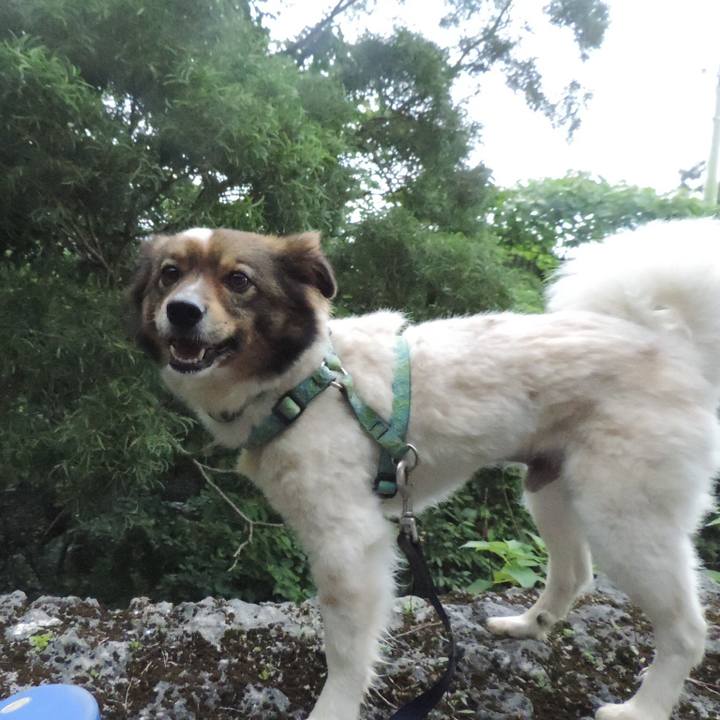 1c60395f f606 48e1 b762 9c5ef7e82ae9