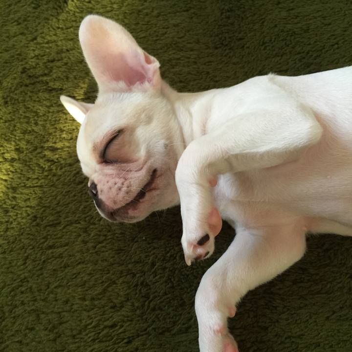 1c6068c3 0e17 4968 9f10 7193dea34e8d