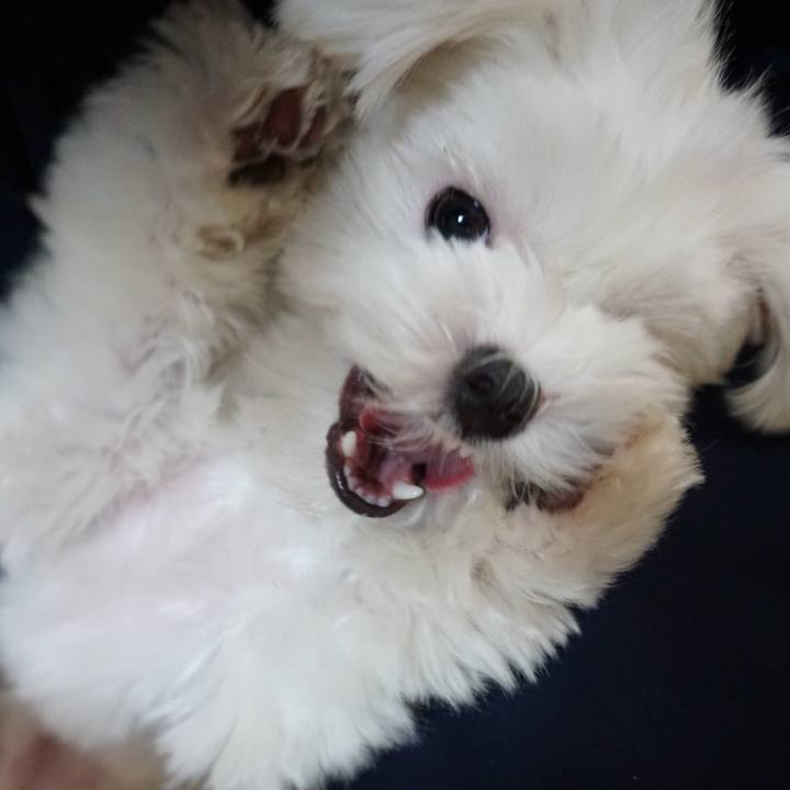 1c606aef 6004 4511 b73c f9b04bb43a31