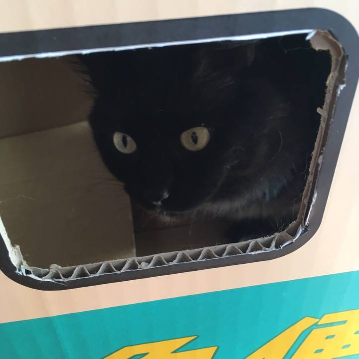 1c60eba7 3ec0 4485 8d7d 5599d568b5a5