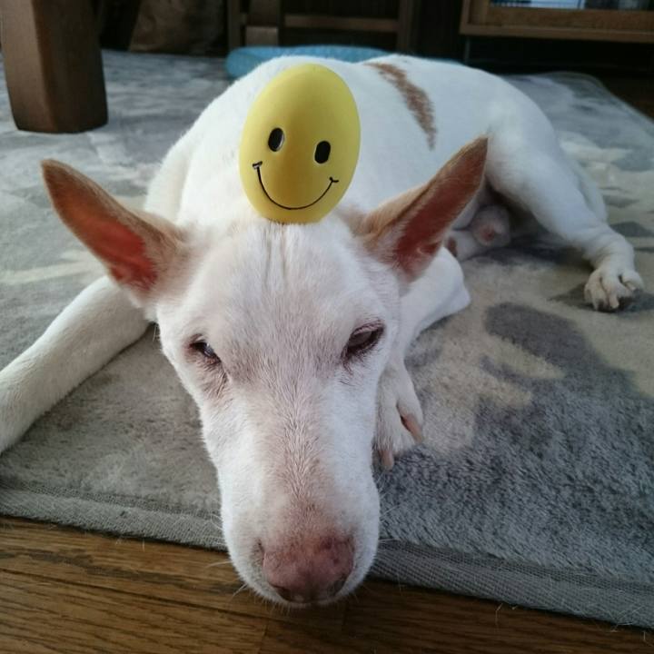 1c60f522 55c8 4ac1 b248 cf46c892c0af